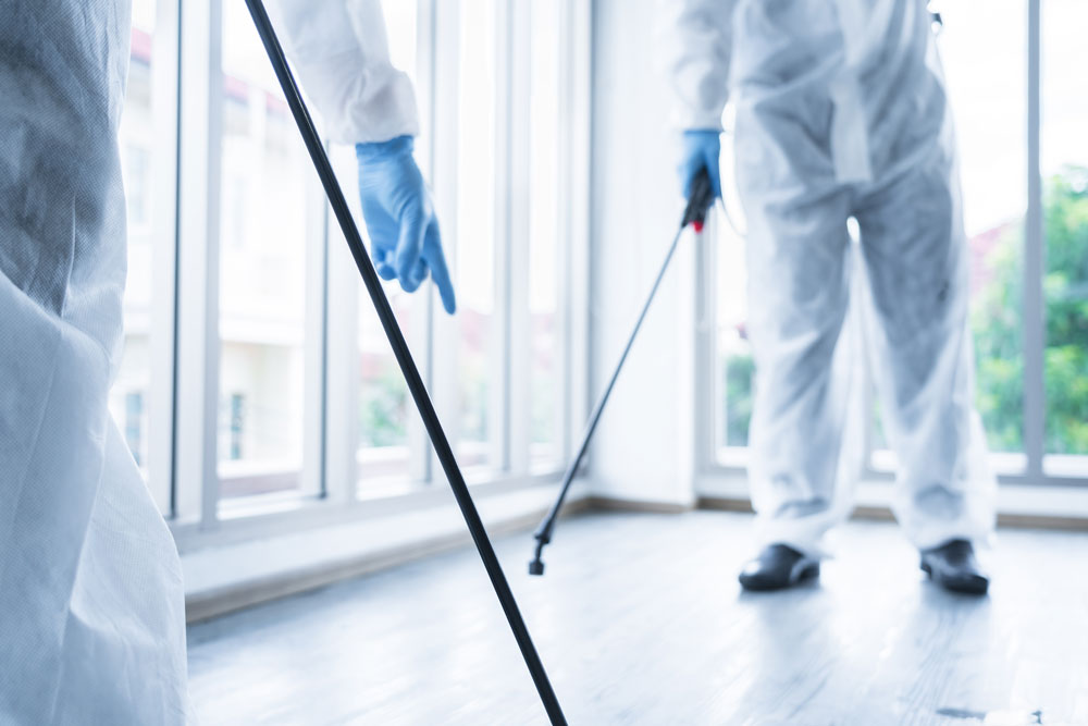 biohazard cleanup services