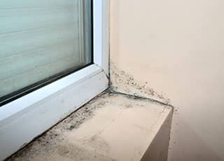 Deal with Mold Removal Before Listing Your Home