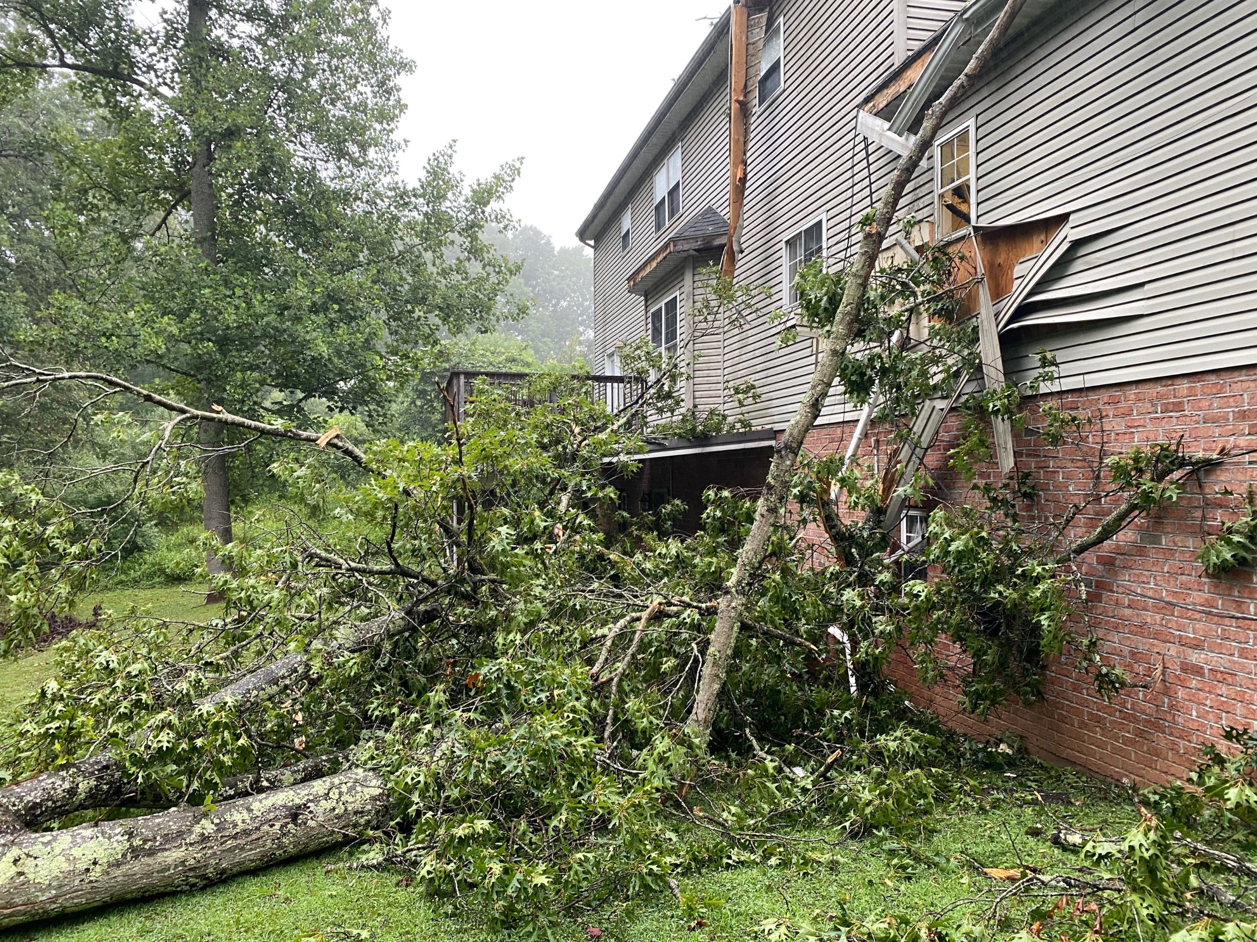 storm damage repair charlotte nc