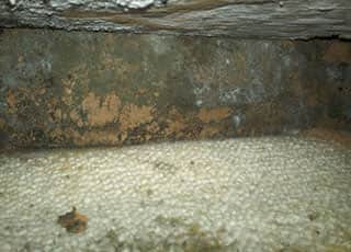 Mold Under Bookcase