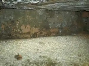 Mold